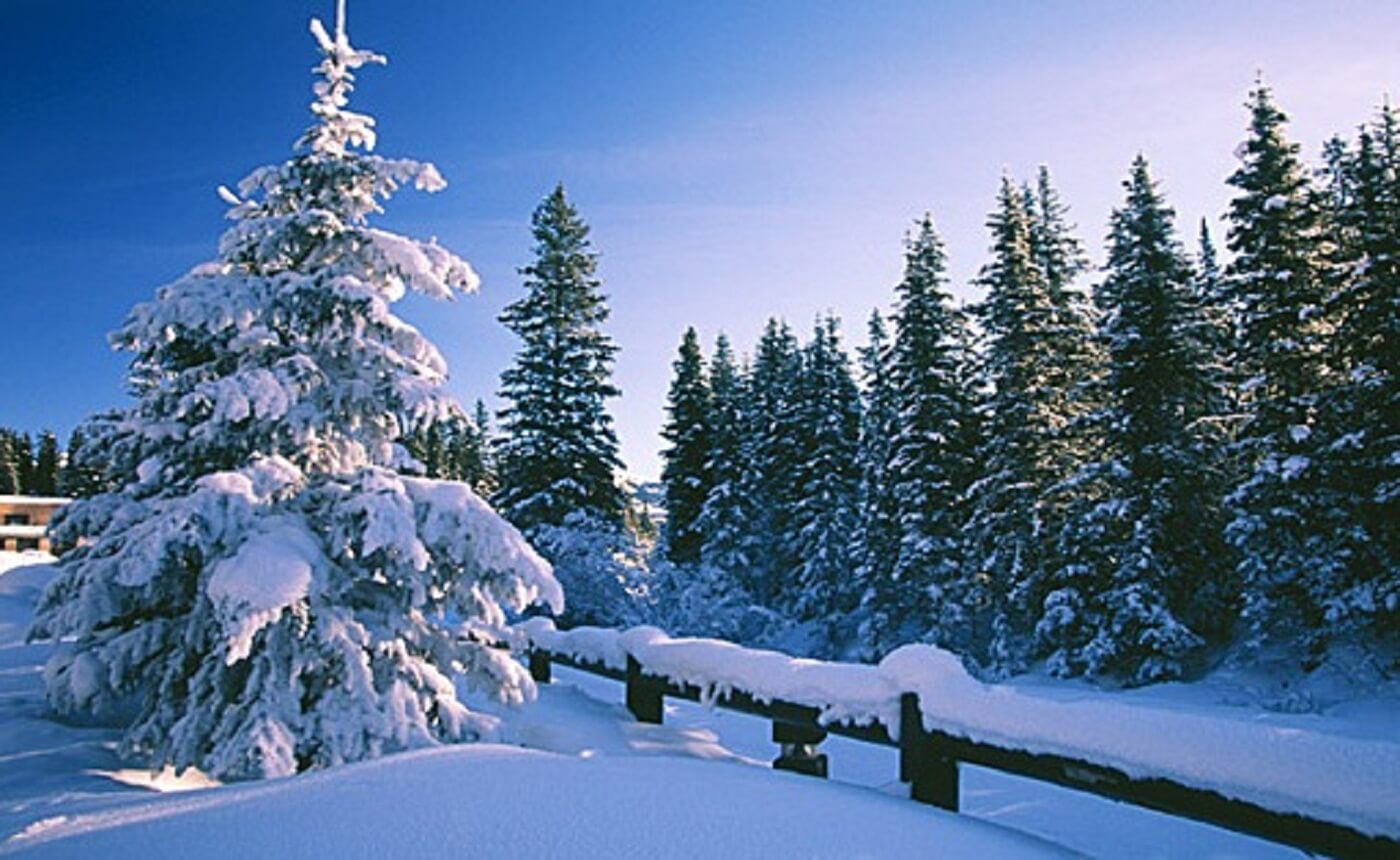 Photo Gallary - himachal images