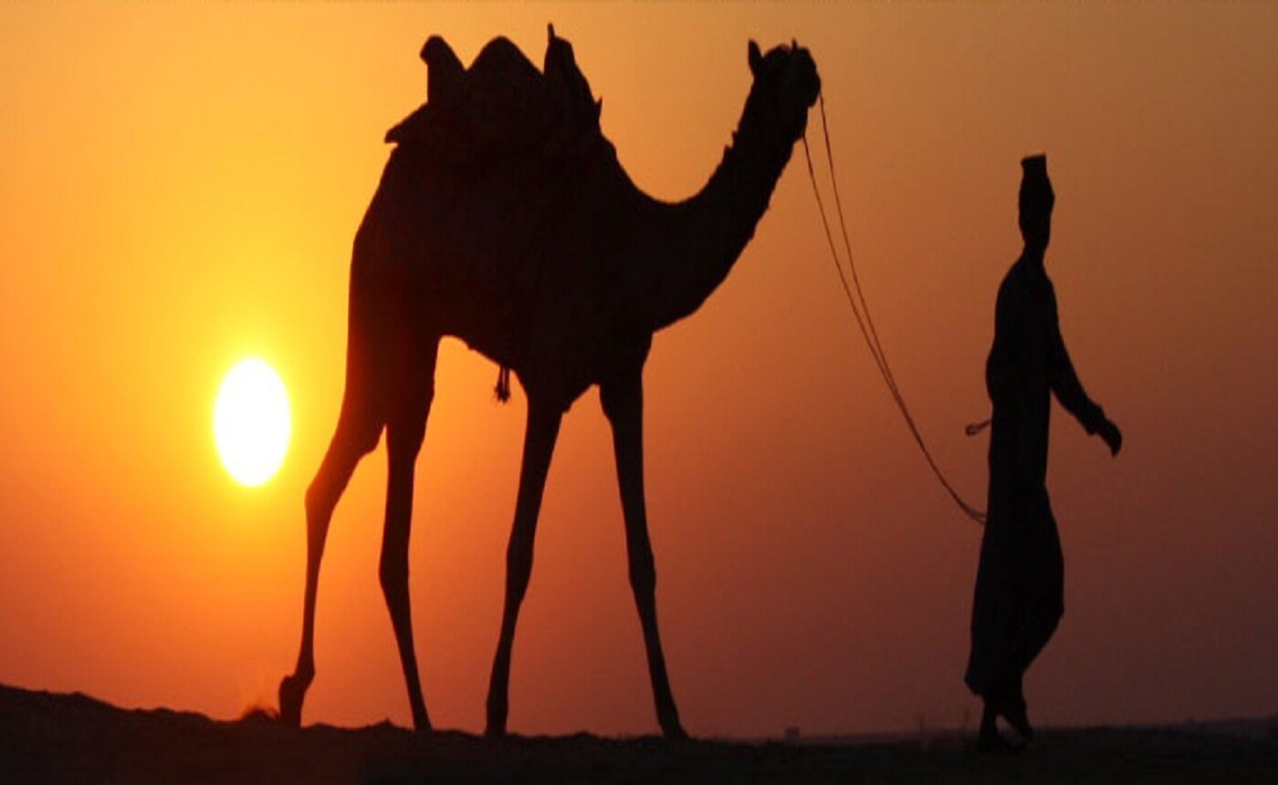 Photo Gallary - rajasthan images