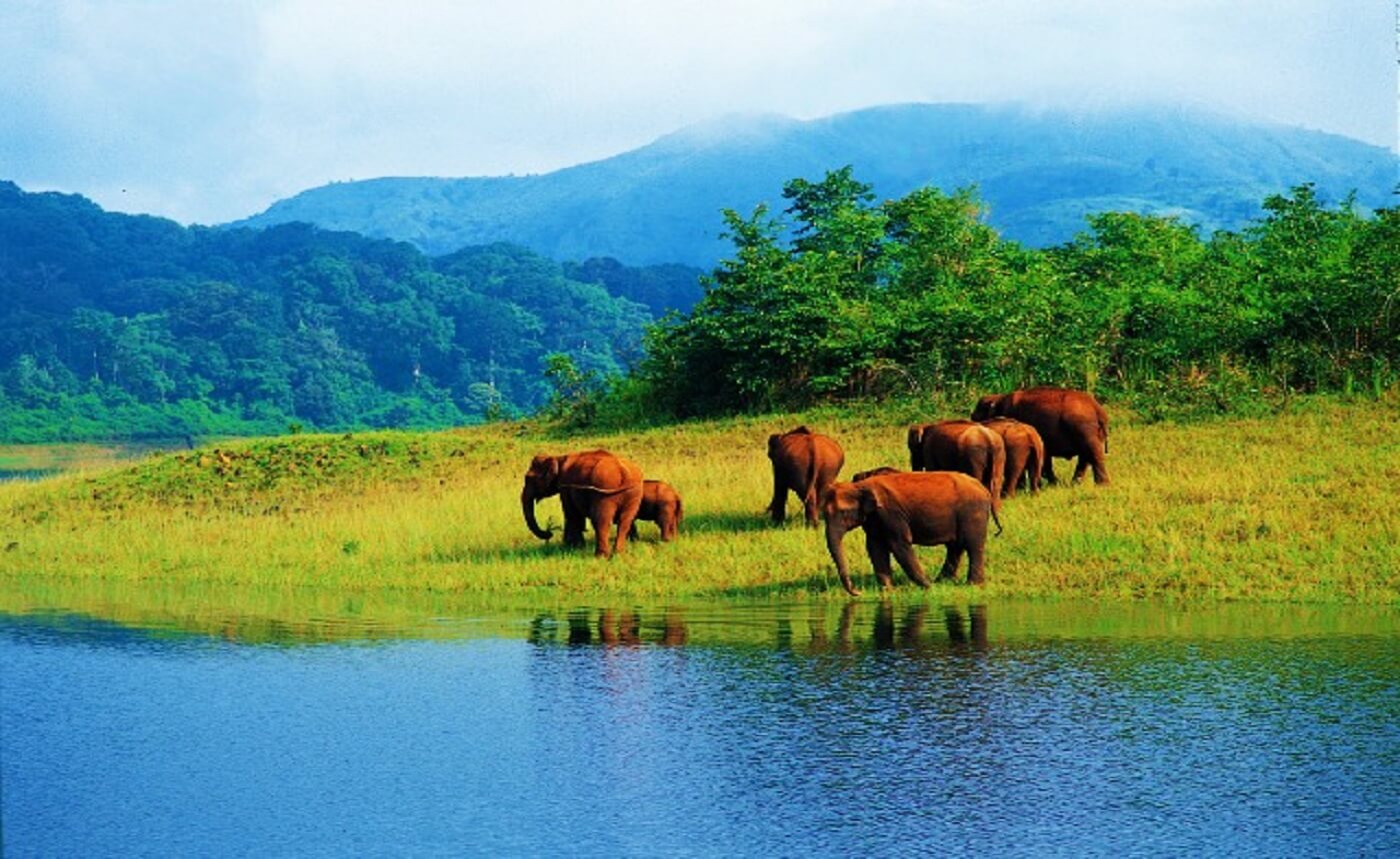 Photo Gallary - Kerala images